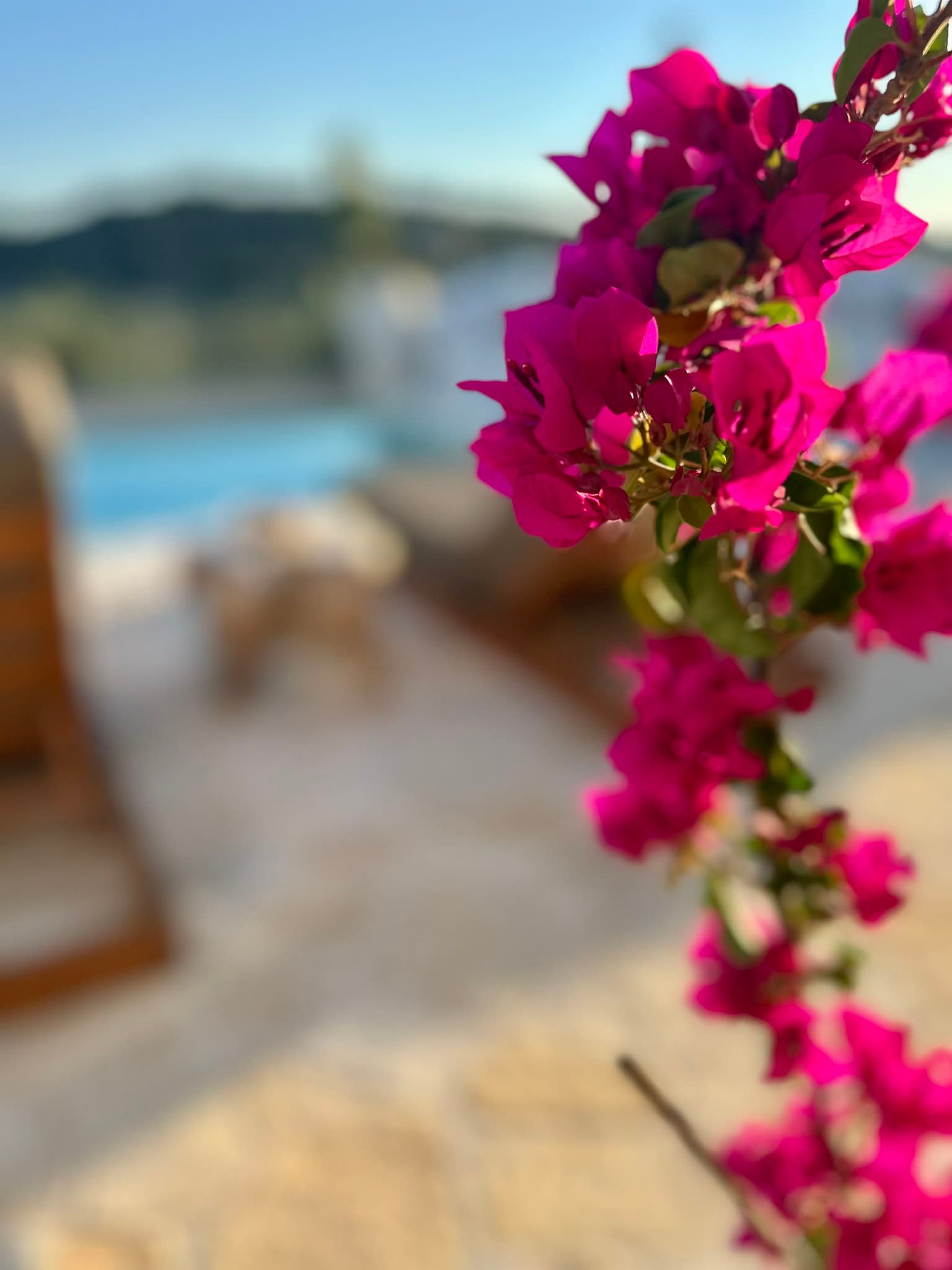 06f5202a-91f7-461a-93e6-b8c56fab6cd0