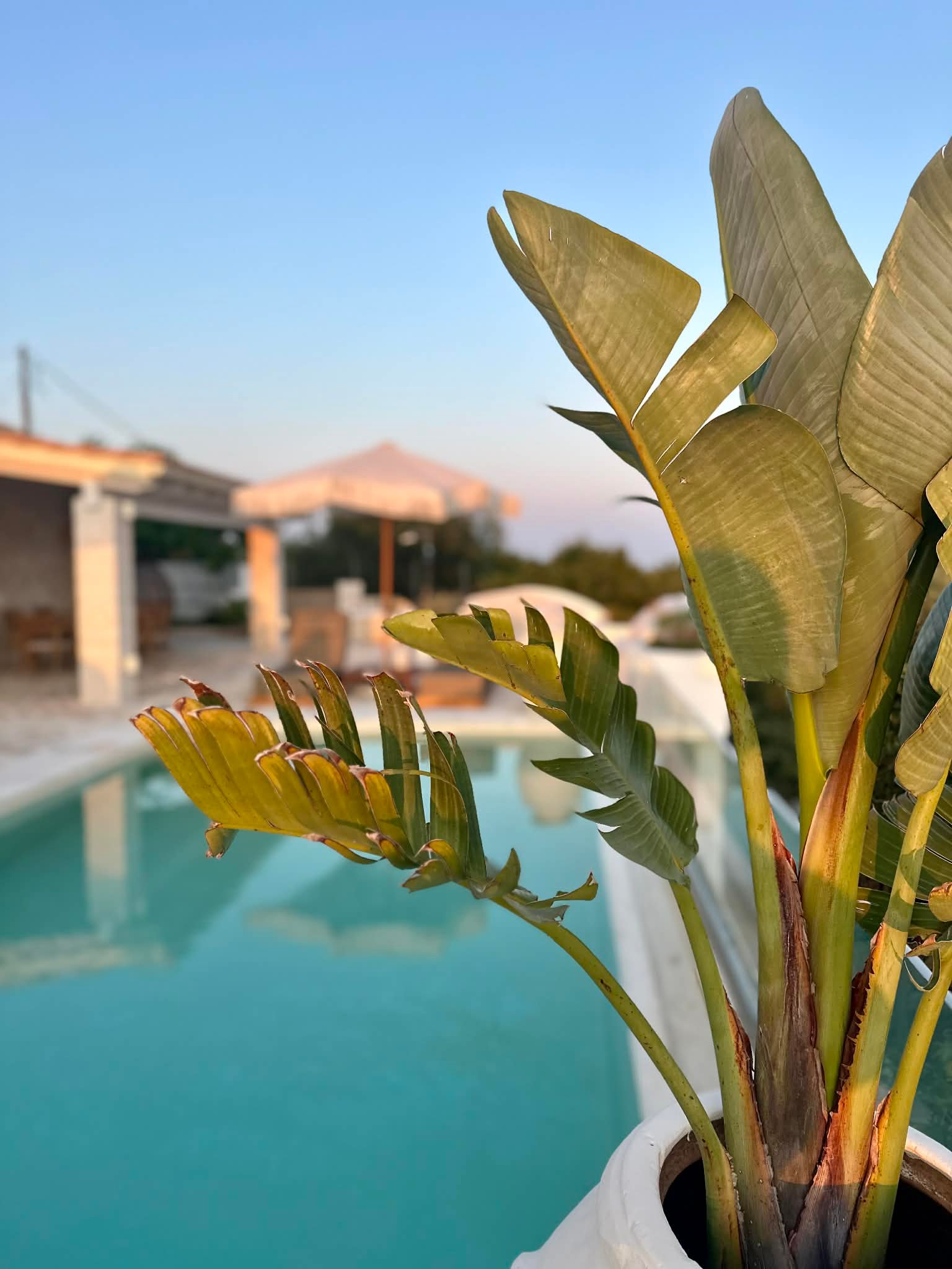 352d6968-0acb-4a9d-a854-490326f86e60