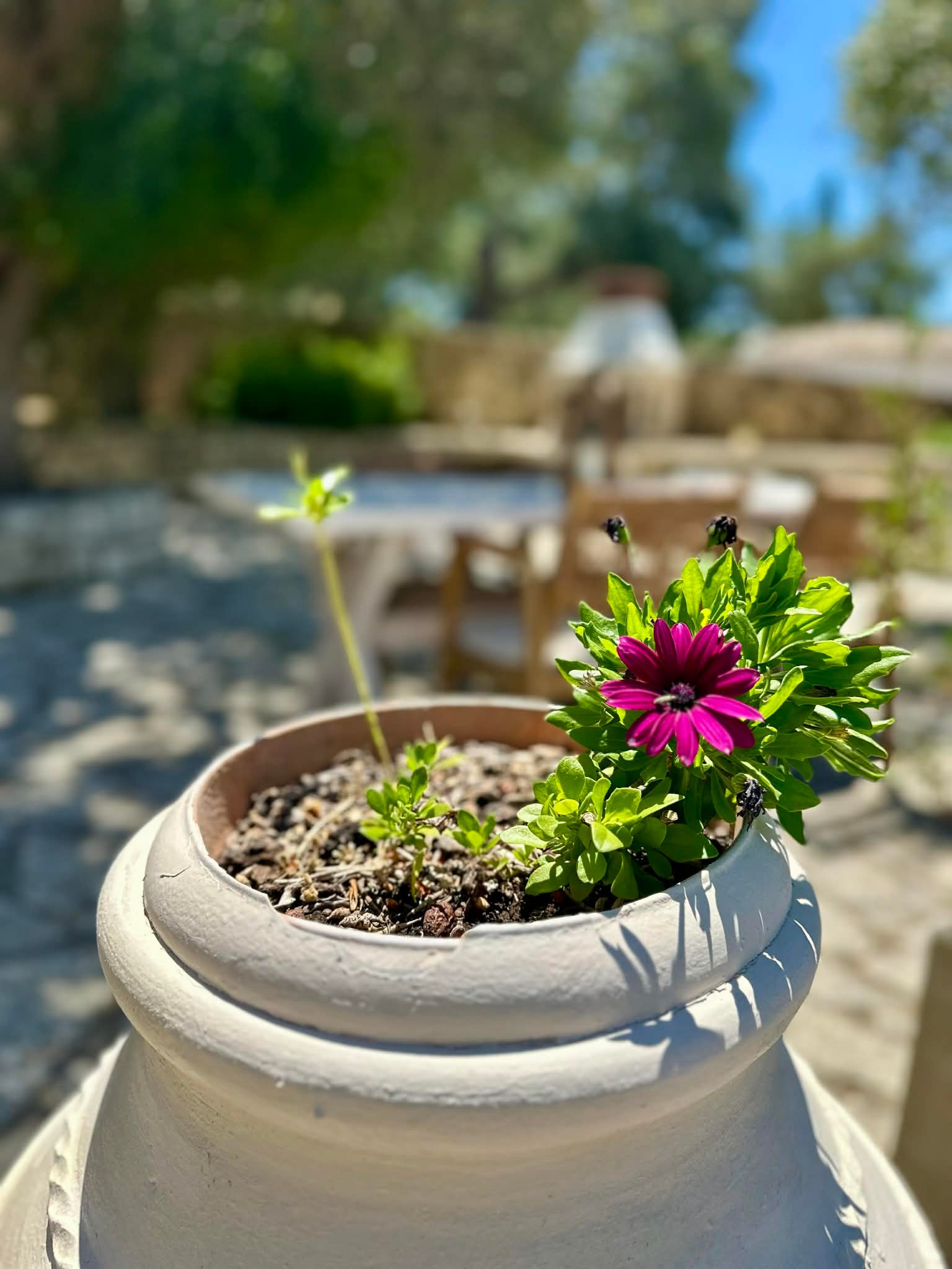 611f0b63-9686-4aaf-8947-243085fd4f14