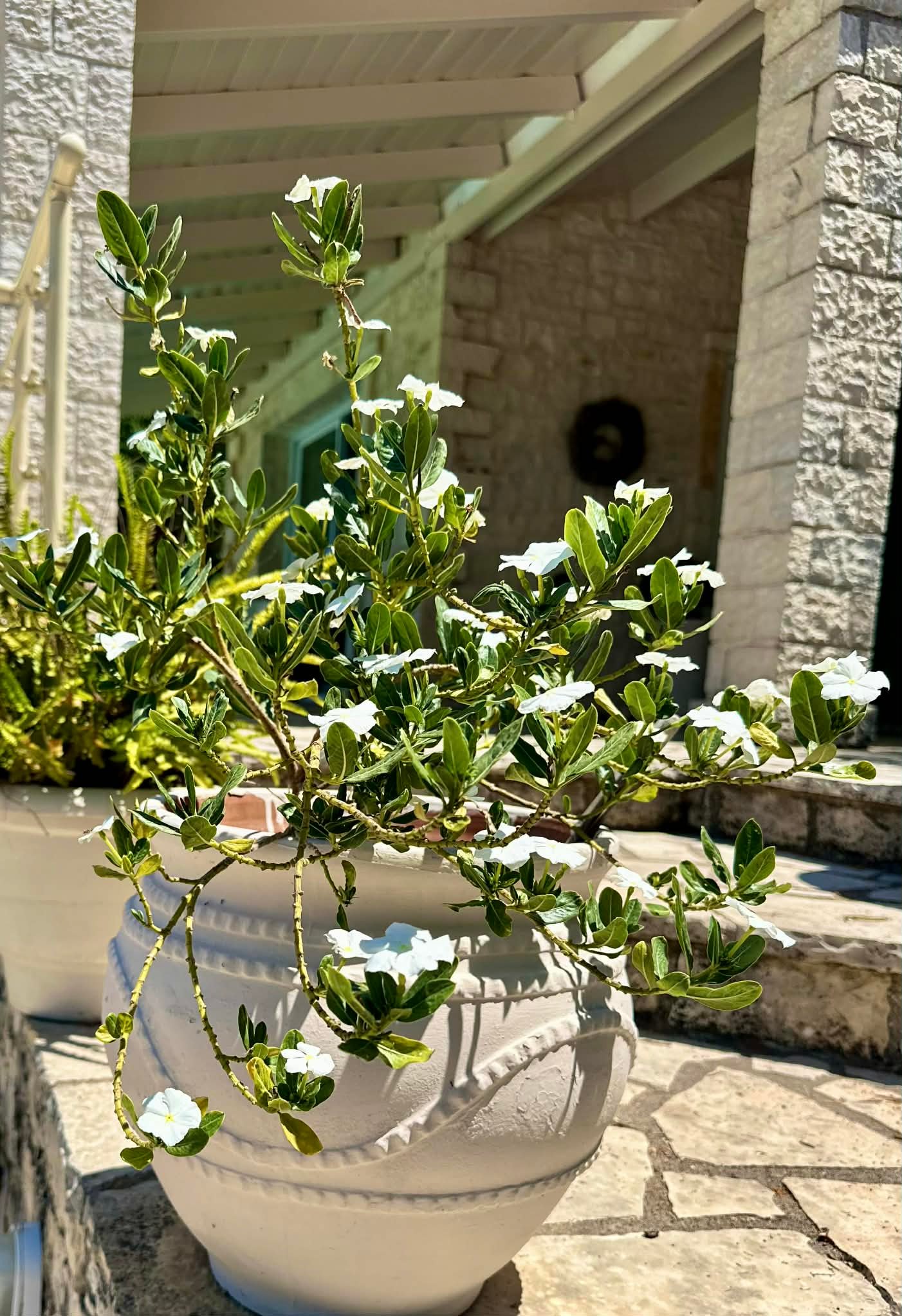 8a0118dd-1893-47b9-b7f9-e3977baf9d5c