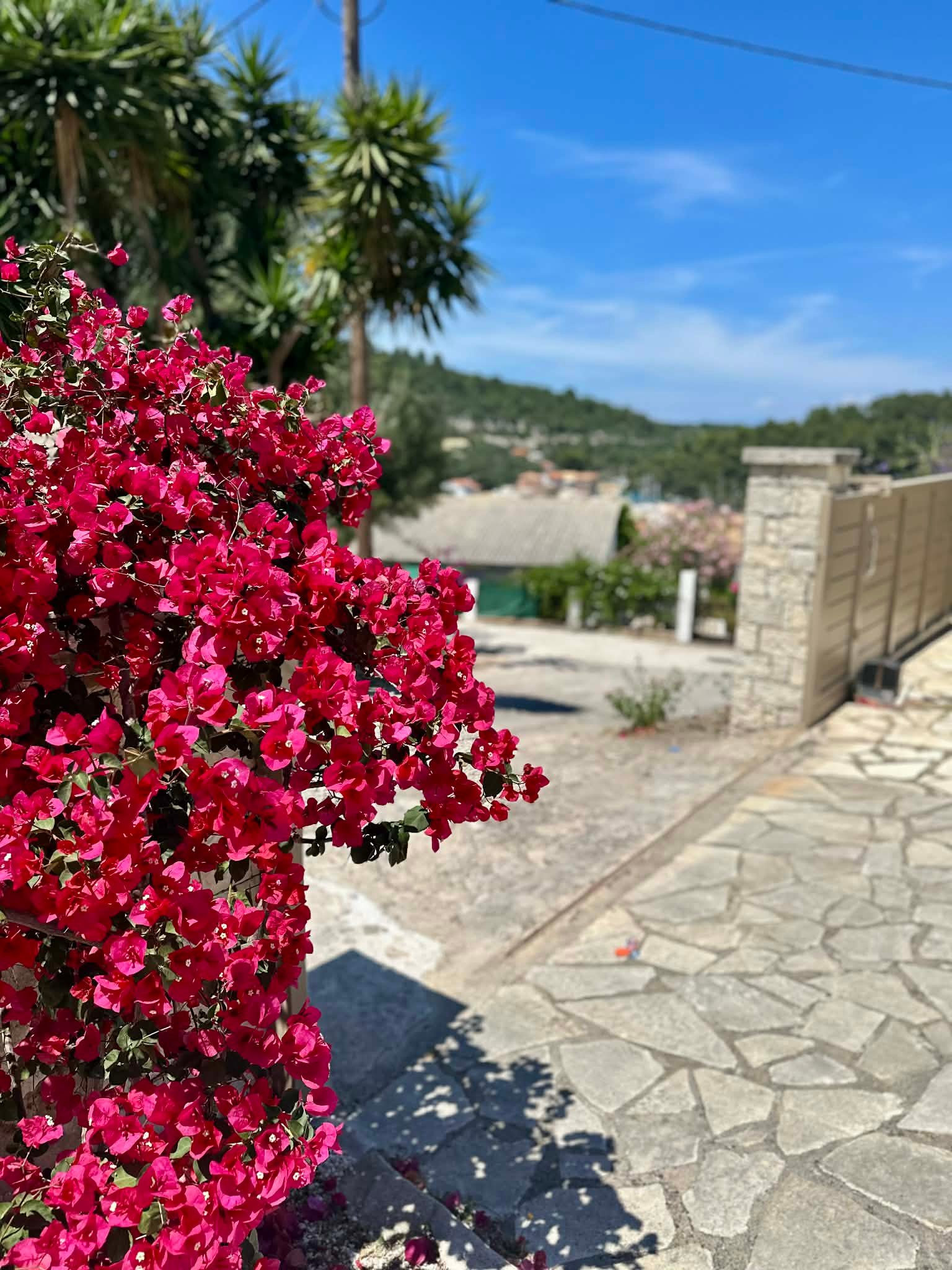 95311933-f04b-46fc-a41c-794d1506c9d8