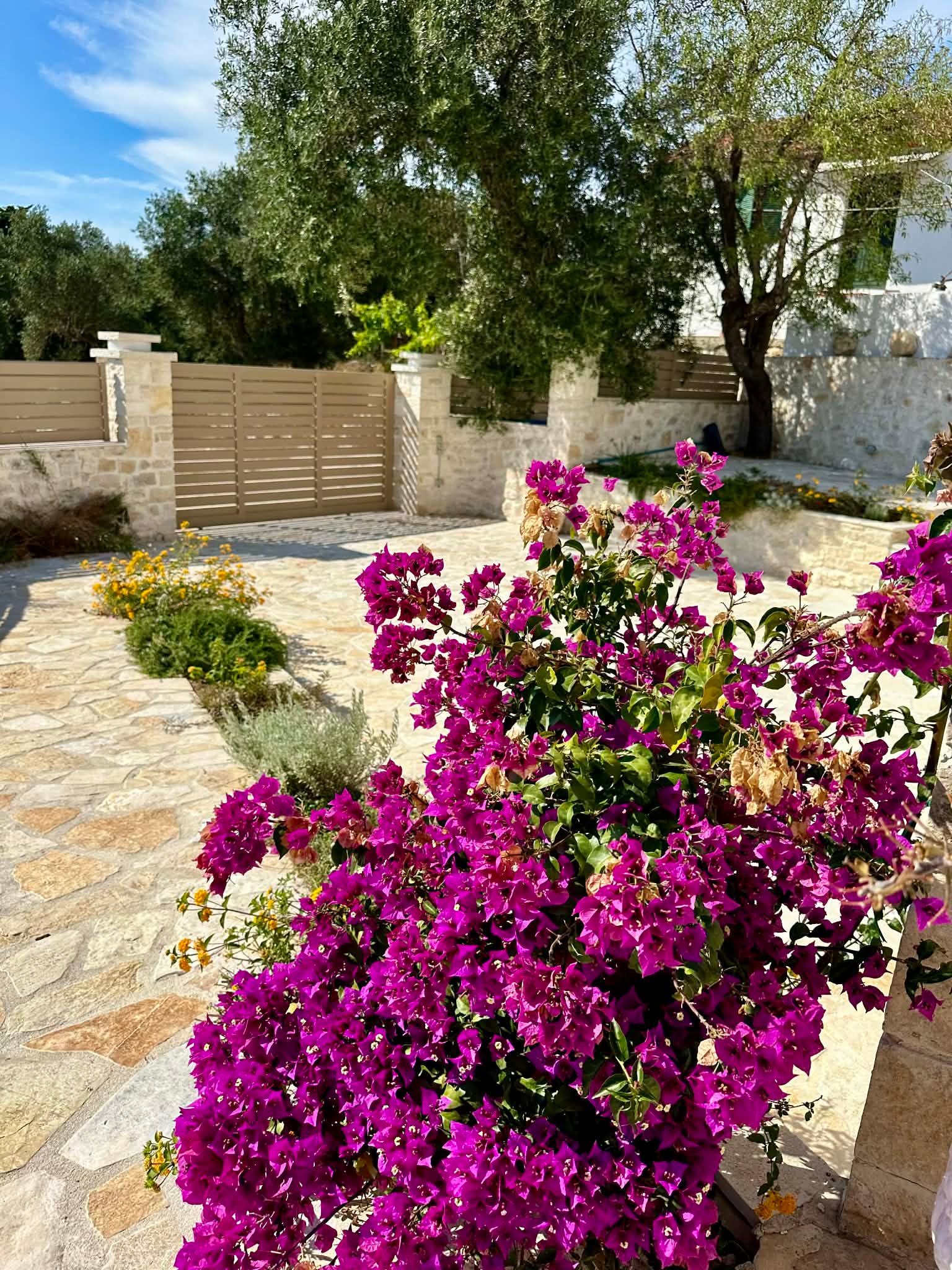 a3aa9382-9243-423a-8907-f9ae94b76dea