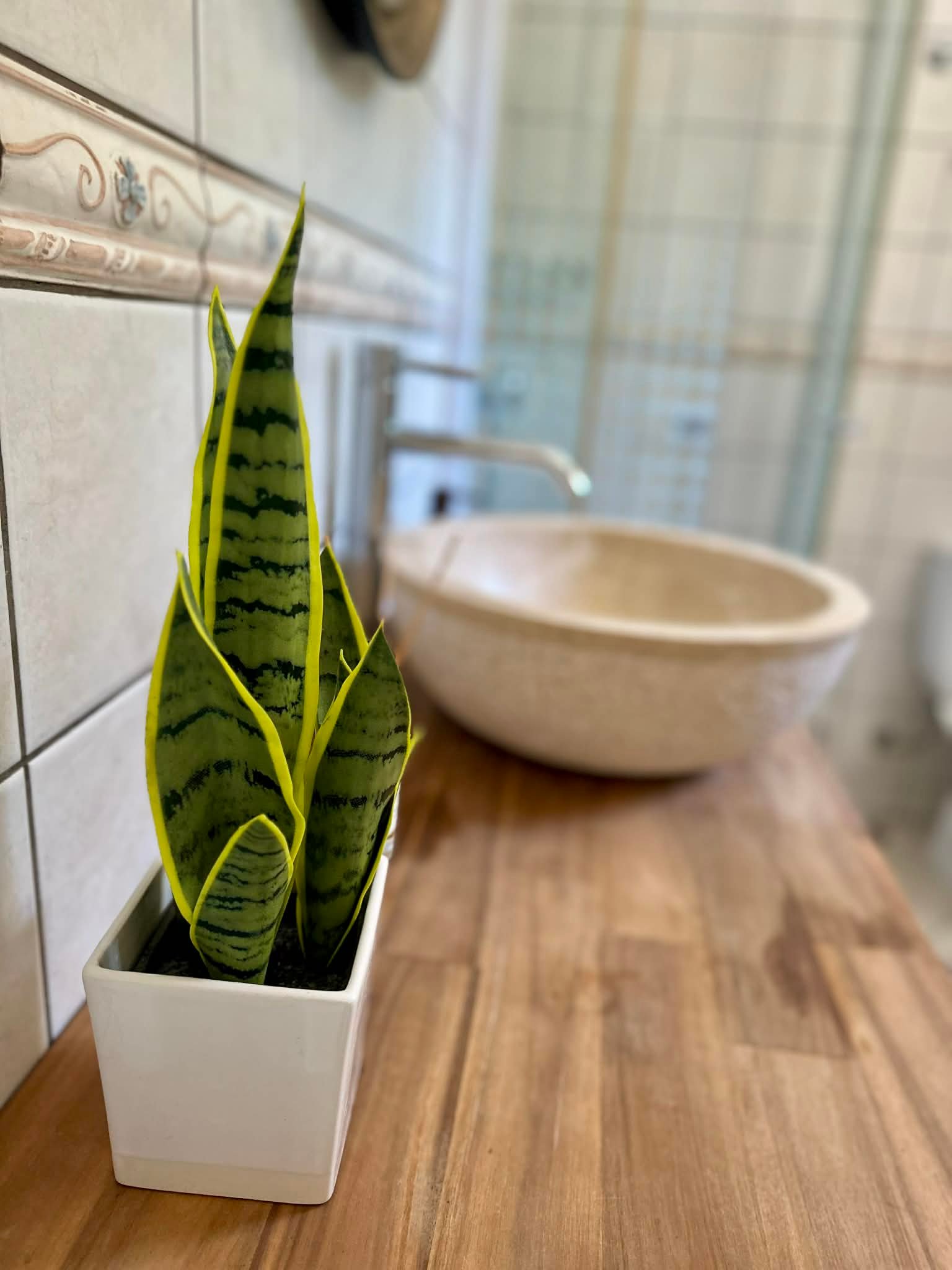 b29b19fd-8705-474d-b850-d3085e3d7c4a