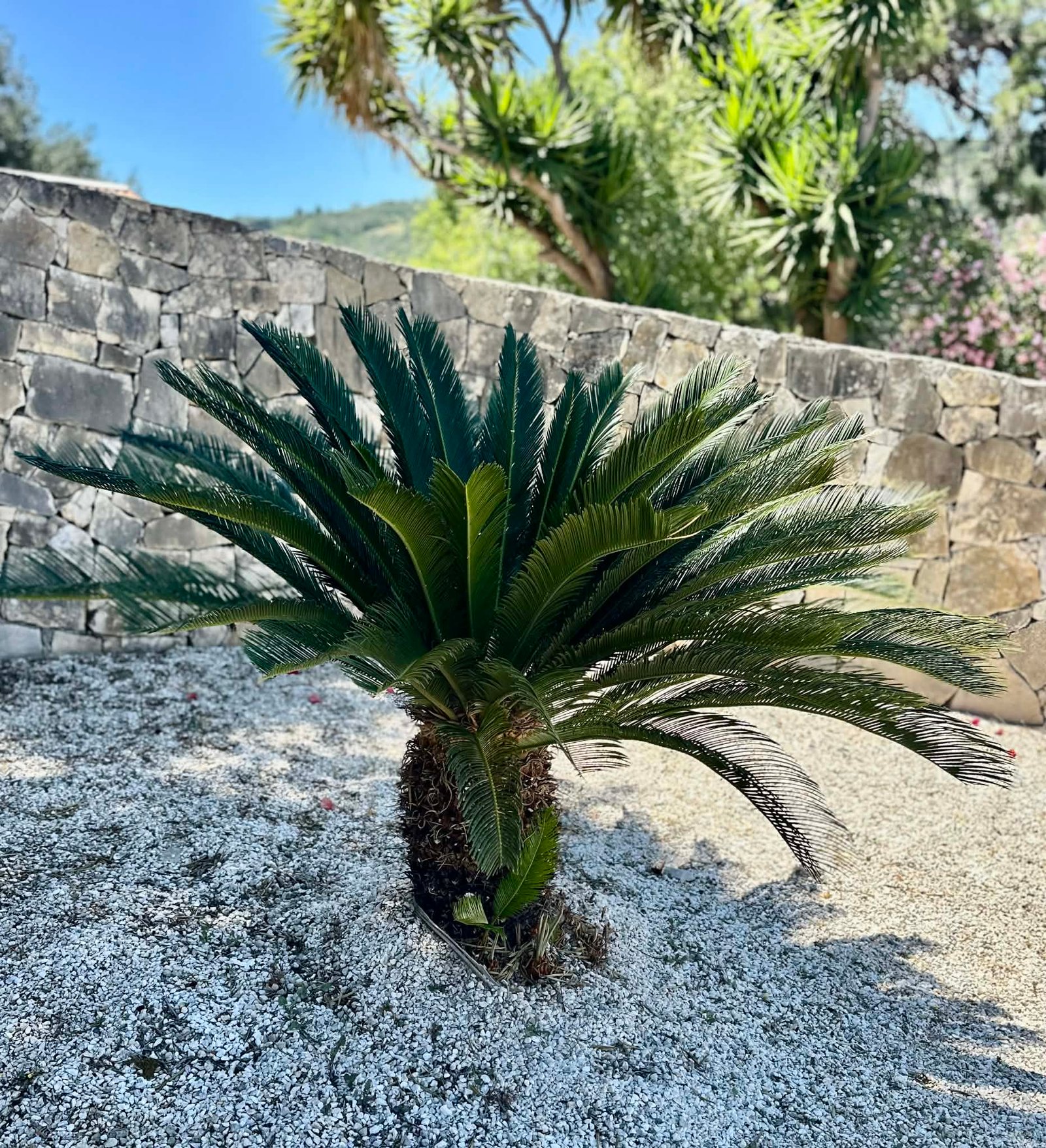 b9648406-c9ce-4a75-bee2-0498ed42ad7e