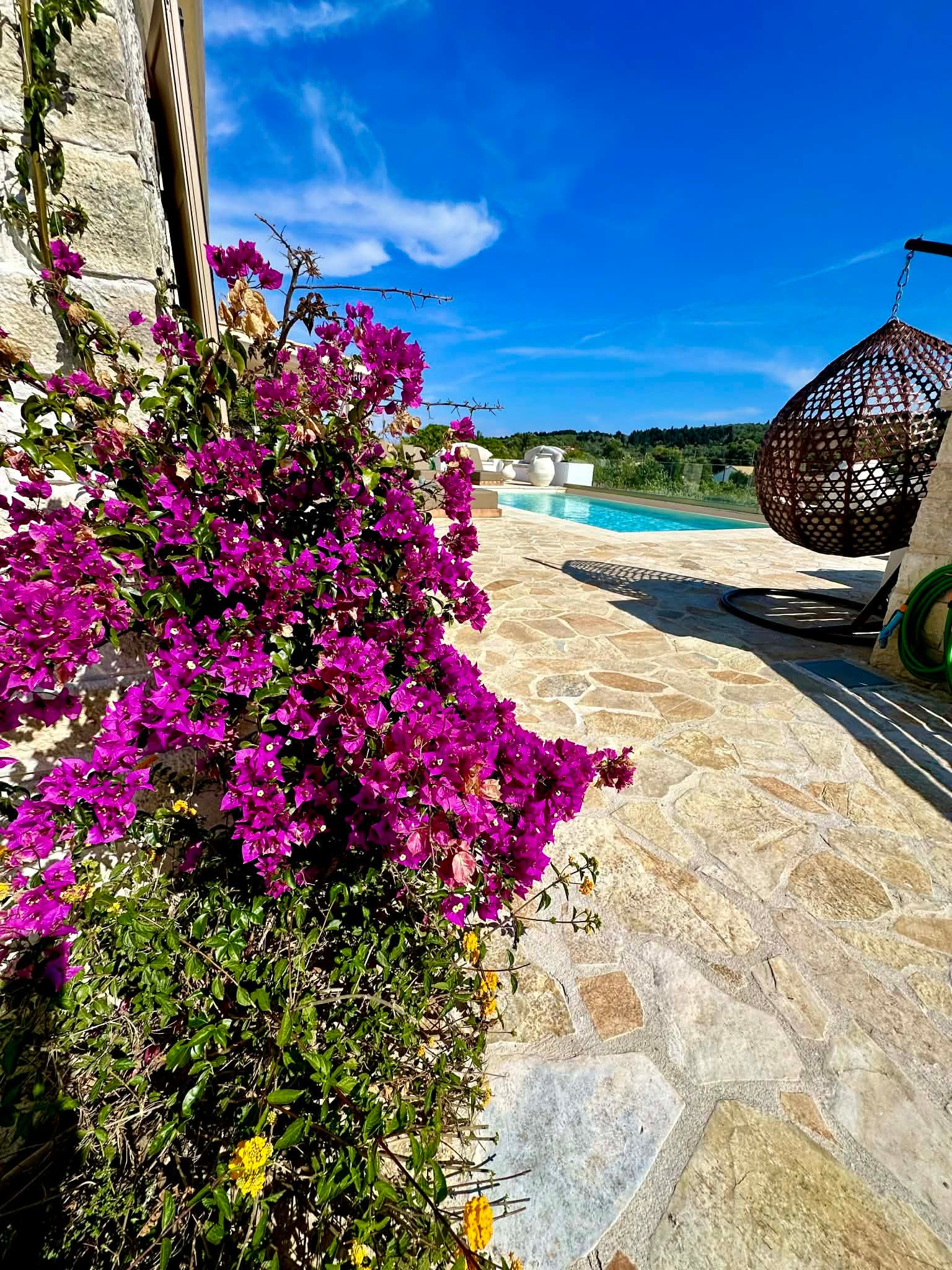 c7e4c7fb-b69d-45c7-a230-0096d17455a6