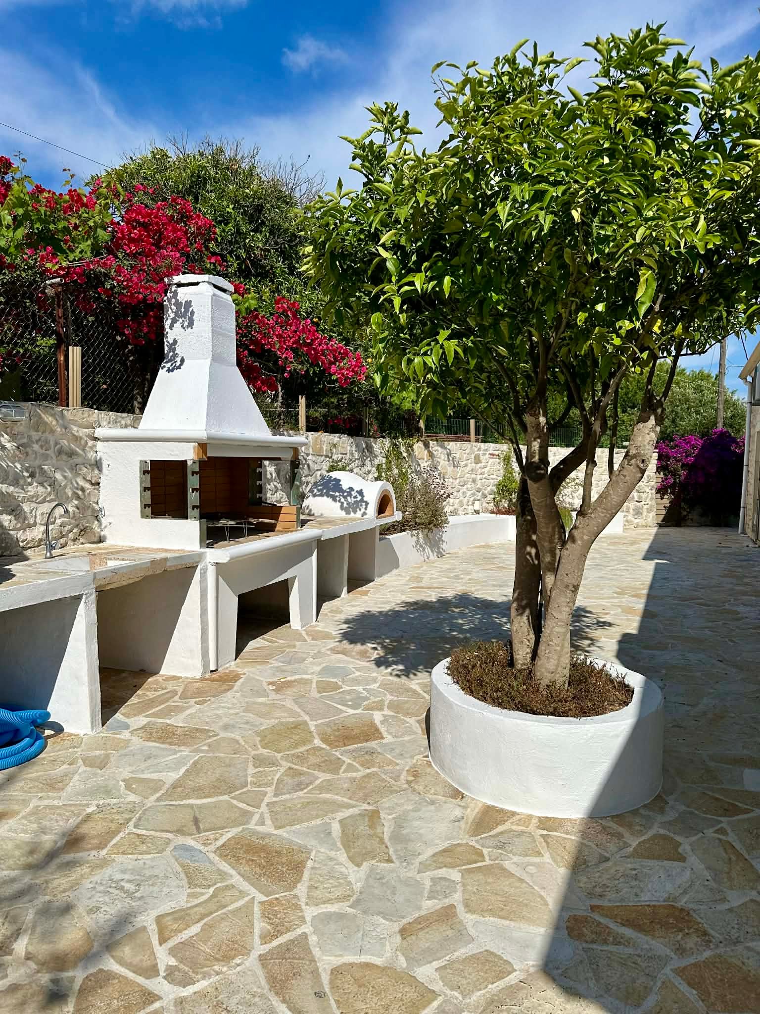 d76ec203-6a12-4f2b-a8c8-a8a03f403969