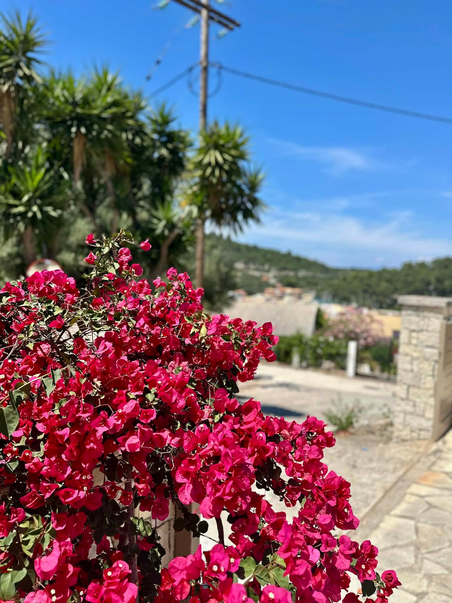 d9716ee1-c685-47f6-ba1f-8f5f894c0c06